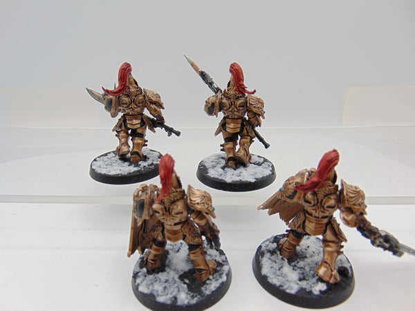 Custodian Guard Squad