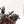 Freeguild Fusiliers