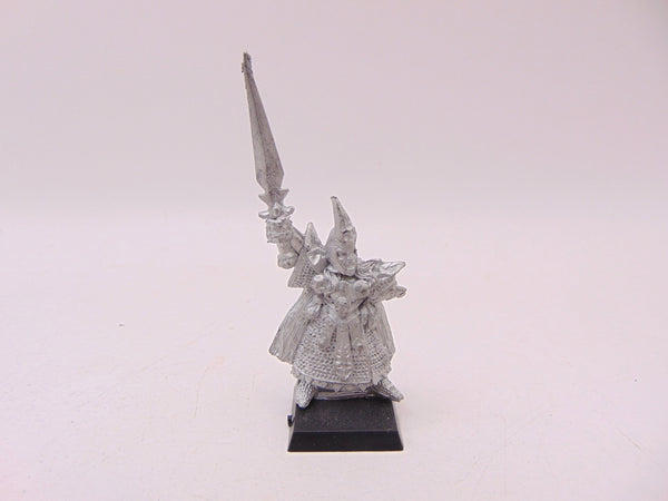 Dark Elf Champion
