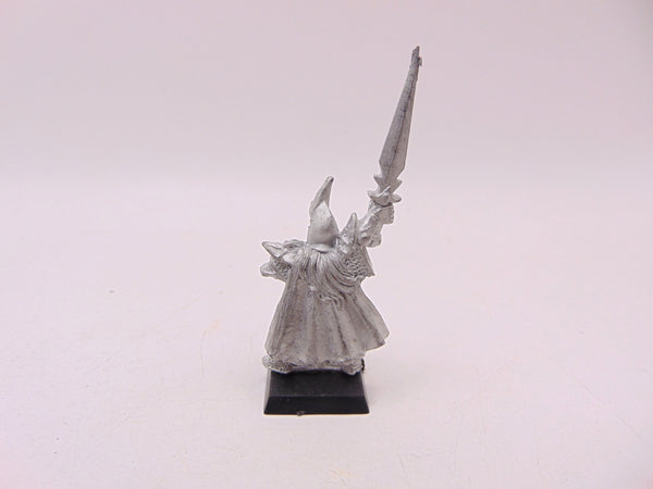 Dark Elf Champion