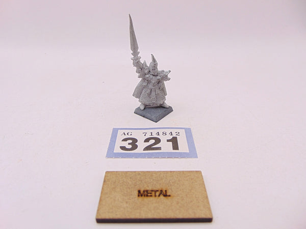 Dark Elf Champion