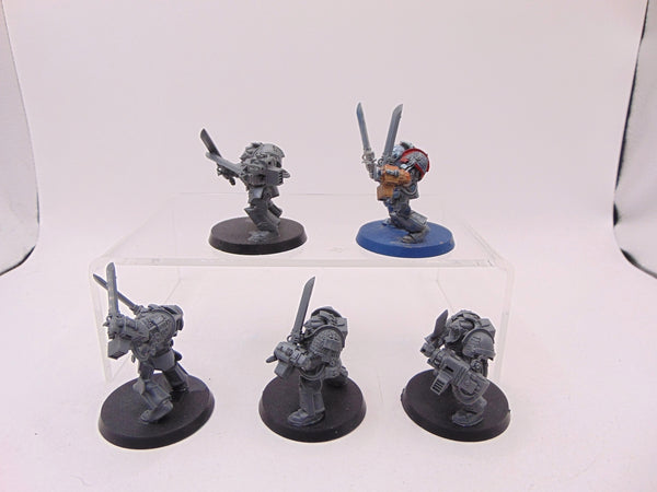 Brotherhood Terminator Squad