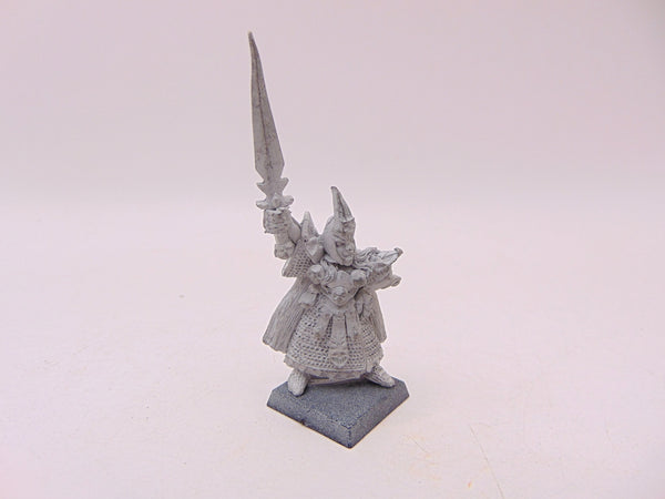 Dark Elf Champion