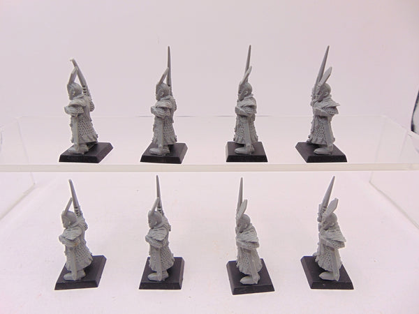 Dark Elf Swordsmen / Warriors