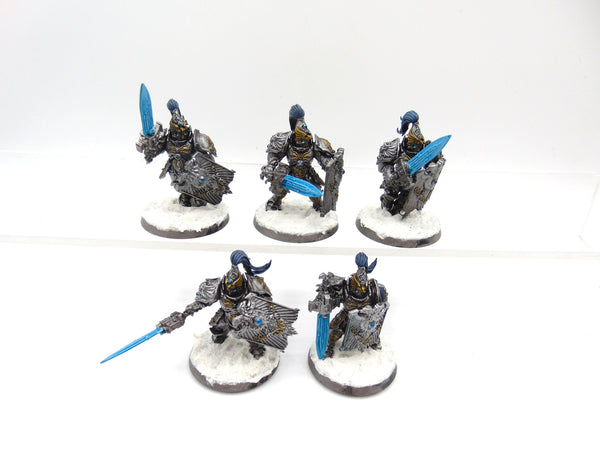 Custodian Guard