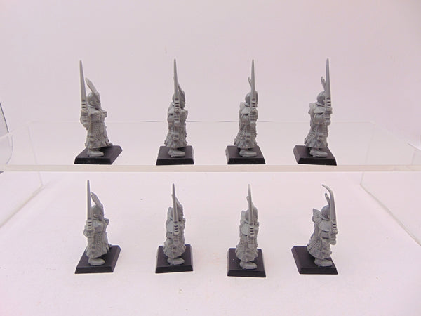 Dark Elf Swordsmen / Warriors
