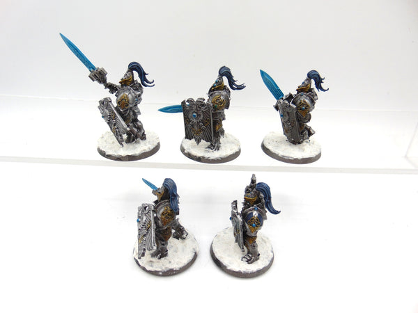 Custodian Guard