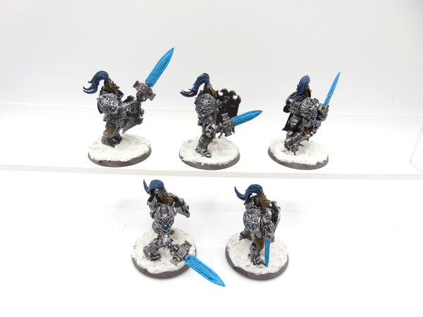 Custodian Guard