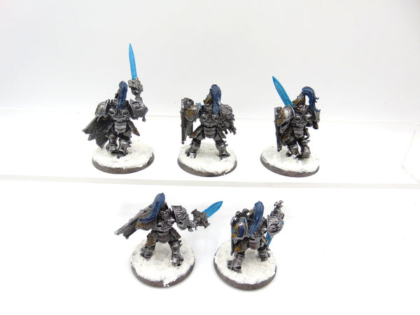 Custodian Guard