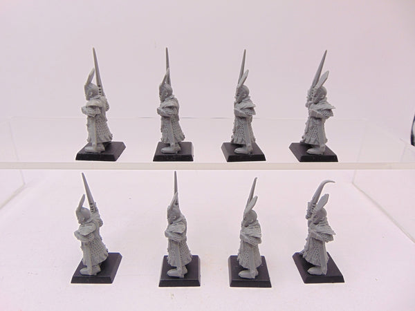Dark Elf Swordsmen / Warriors