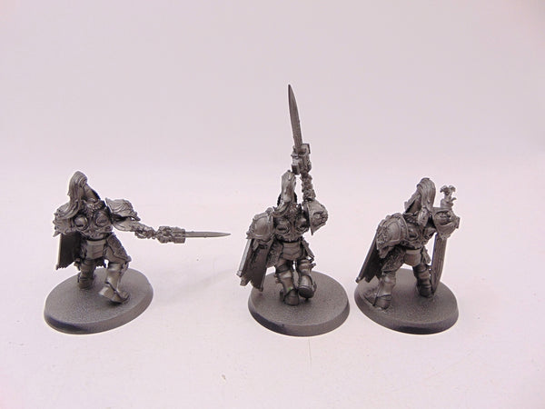 Custodian Guard
