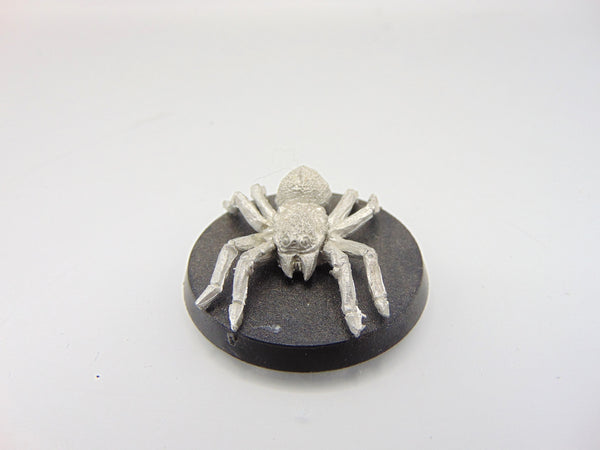 Giant Spider