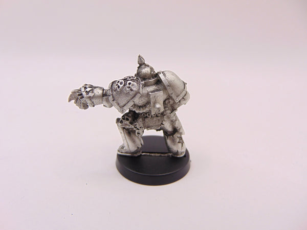 Plague Marine Champion