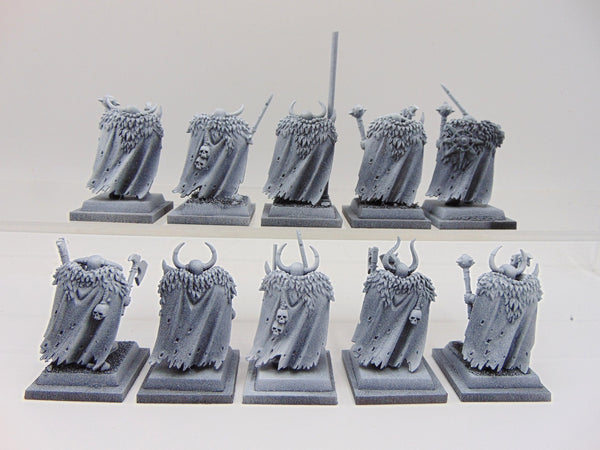 Chaos Warriors