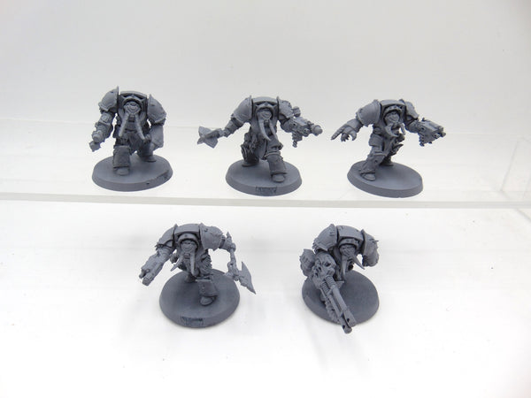 Chaos Terminators