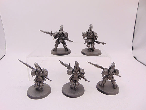 Custodian Guard