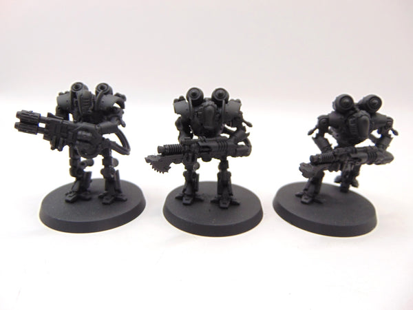 Thallax Cohort