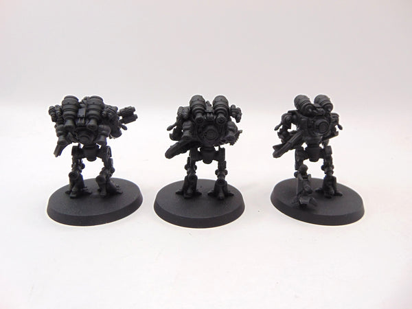 Thallax Cohort