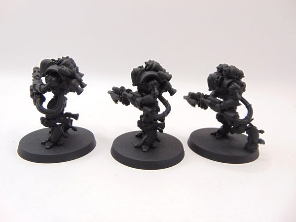 Thallax Cohort