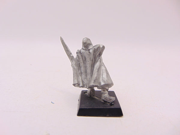 Dark Elf Assassin