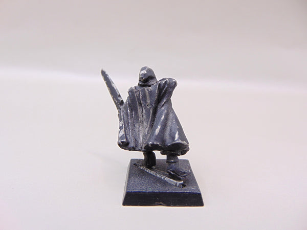 Dark Elf Assassin