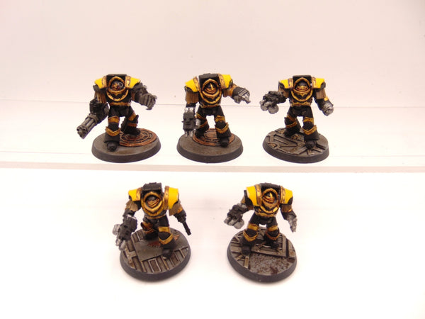 Cataphractii Terminator Squad