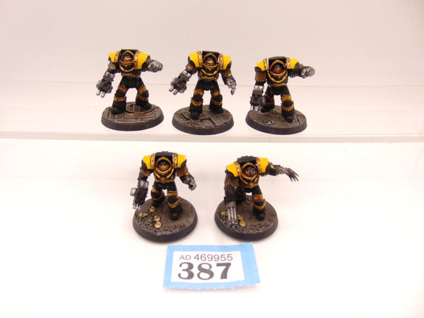 Cataphractii Terminator Squad