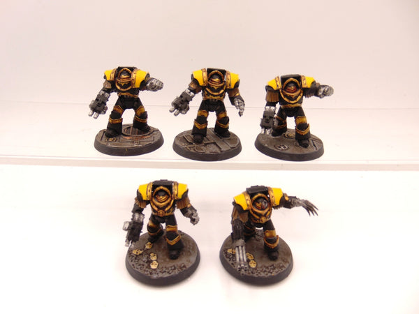 Cataphractii Terminator Squad
