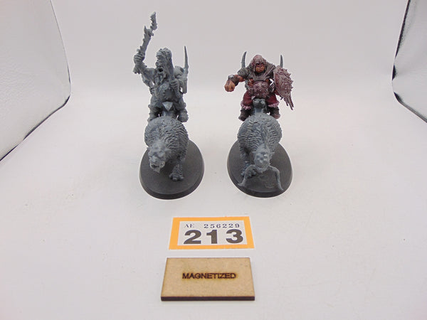Mournfang Cavalry Pack