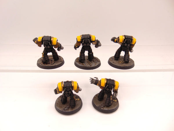 Cataphractii Terminator Squad