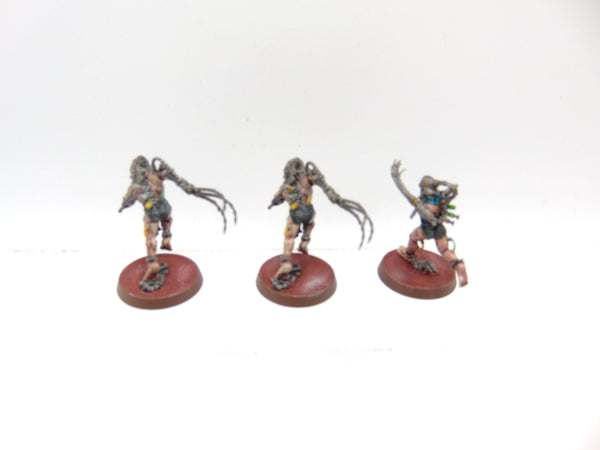 Arco Flagellants
