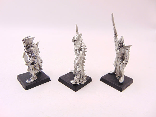 Dark Elf Corsairs