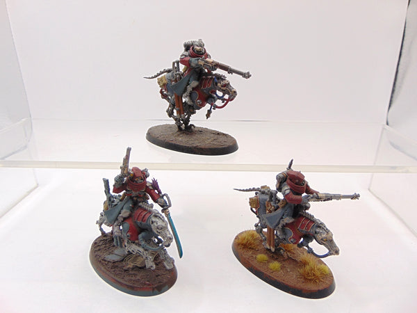 Serberys Raiders