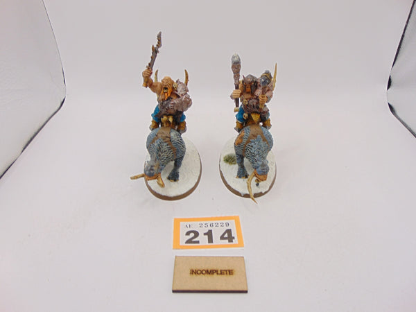 Mournfang Cavalry Pack