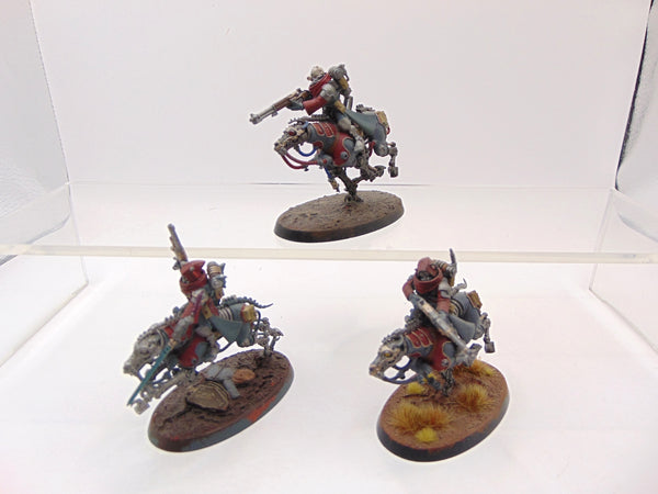 Serberys Raiders