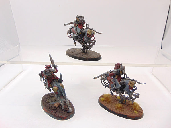 Serberys Raiders