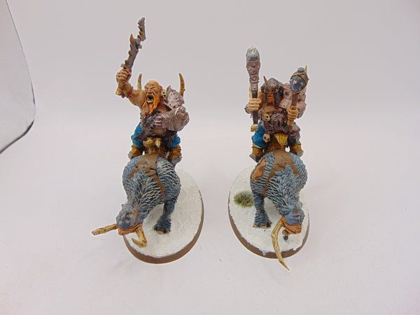 Mournfang Cavalry Pack