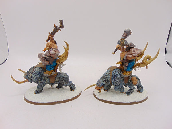 Mournfang Cavalry Pack