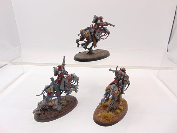 Serberys Raiders