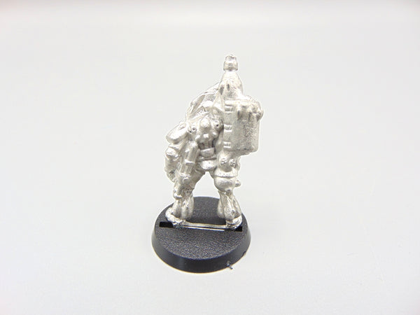 RT04 Space Elves Belgae Strongwill
