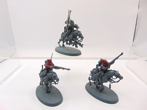 Serberys Raiders