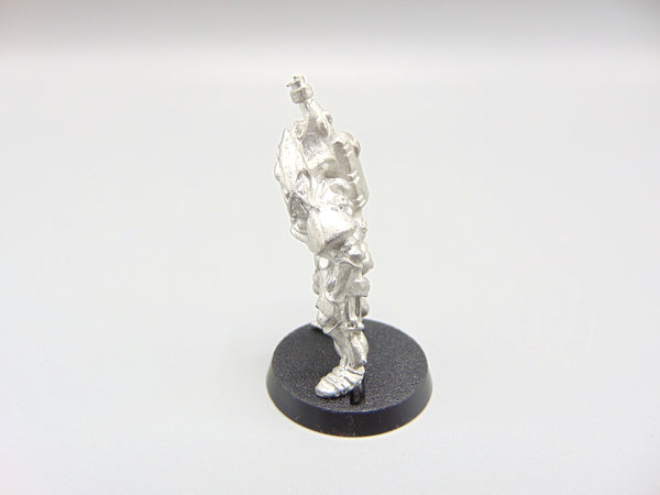 RT04 Space Elves Belgae Strongwill