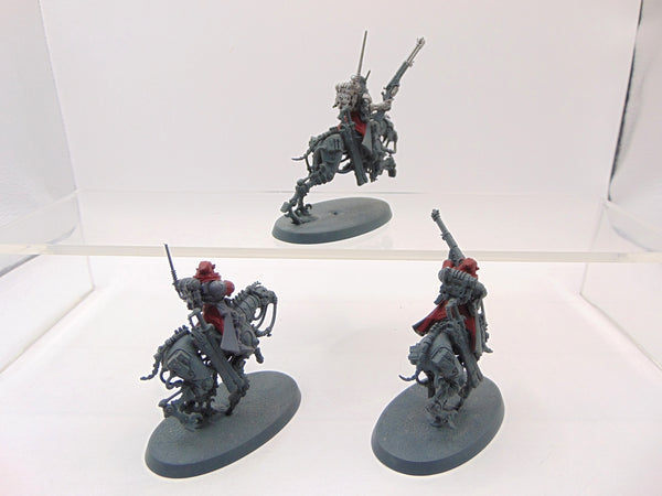 Serberys Raiders