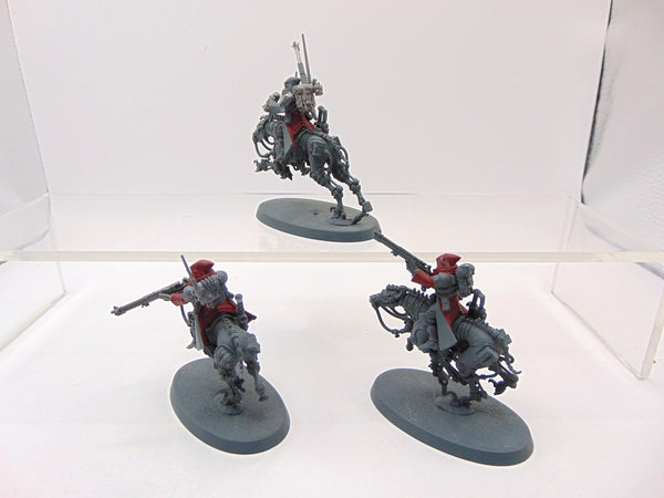 Serberys Raiders