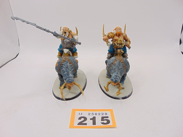 Mournfang Cavalry Pack