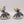 Mournfang Cavalry Pack