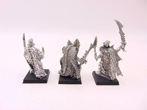 Dark Elf Corsairs