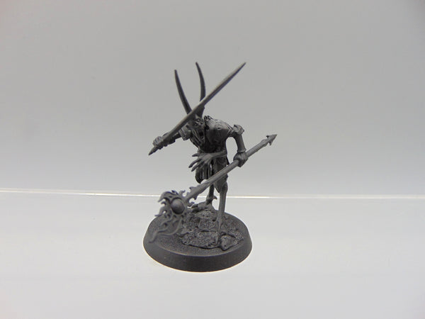 Magister