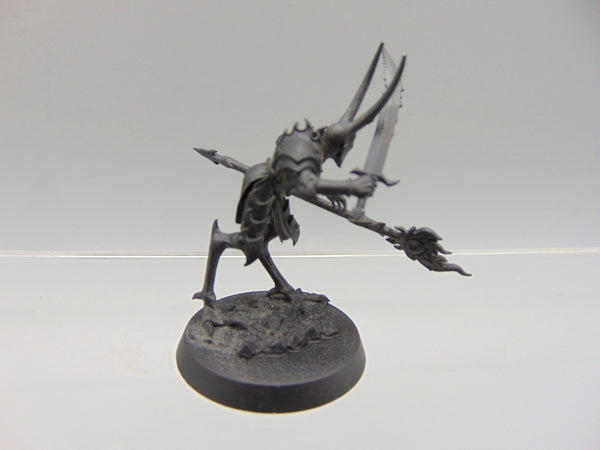 Magister