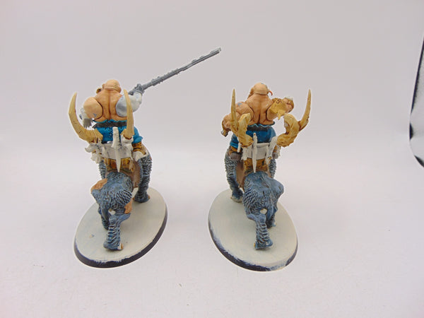 Mournfang Cavalry Pack